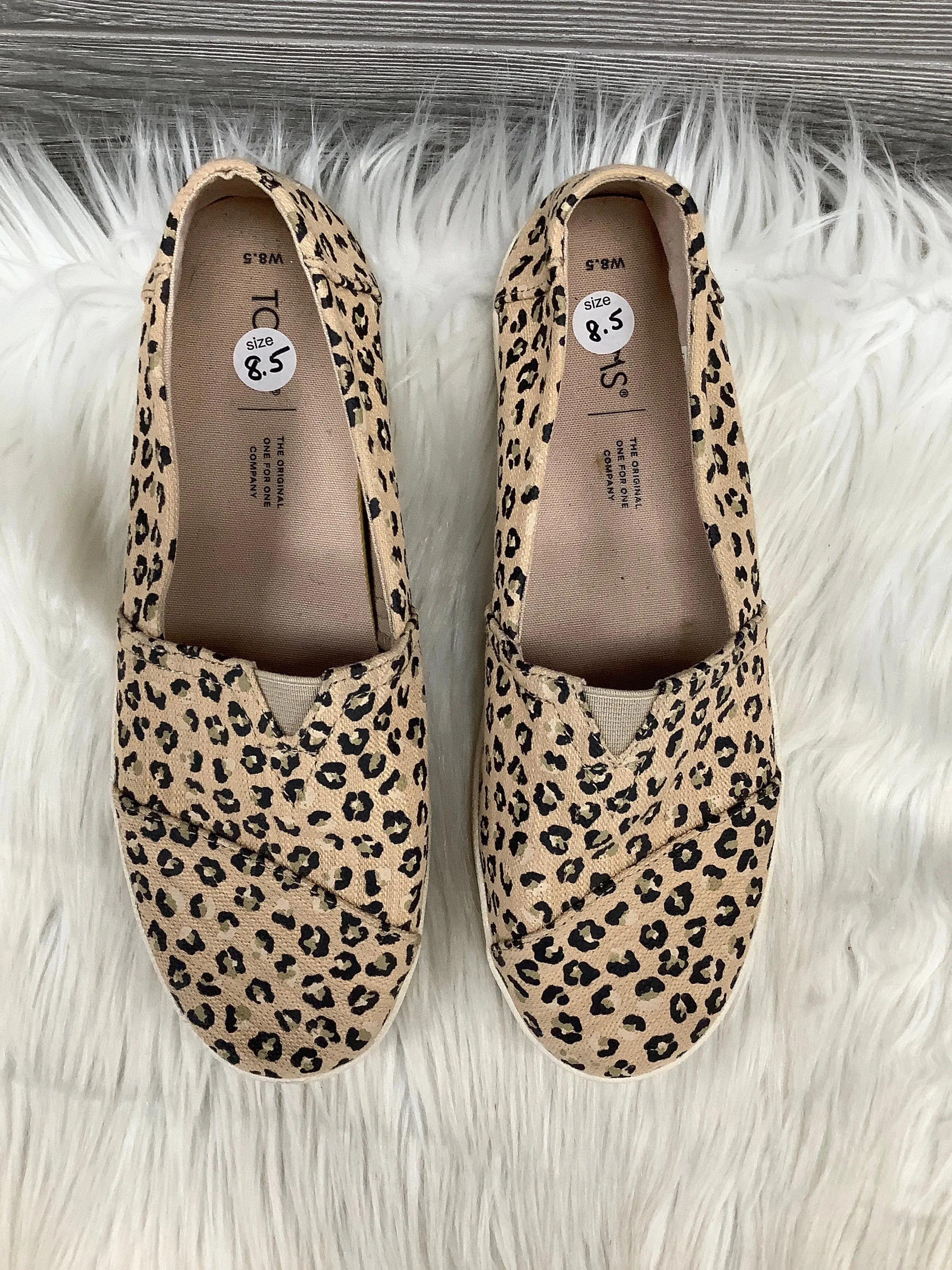 Shoes Flats By Toms In Animal Print, Size: 8.5